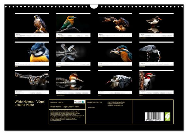 Produktbild: Wilde Heimat - V&ouml;gel unserer Natur (Wandkalender 2026 DIN A3 quer), CALVENDO Monatskalender