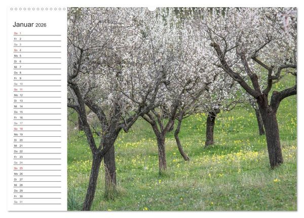 Produktbild: Emotionale Momente: Mandeln (Wandkalender 2026 DIN A2 quer), CALVENDO Monatskalender