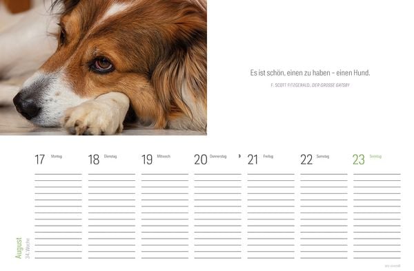 Produktbild: Tischkalender Hunde 2027