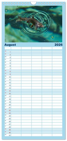 Produktbild: Familienplaner 2026 - Faszination Fische mit 5 Spalten (Wandkalender, 21 x 45 cm) CALVENDO