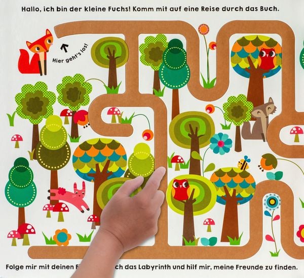 Produktbild: Gl&uuml;cksfisch: Mein Wimmel-Labyrinth: Komm mit in meine Welt!