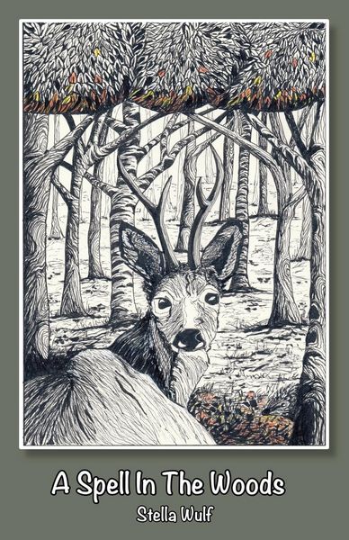 Produktbild: A Spell in The Woods
