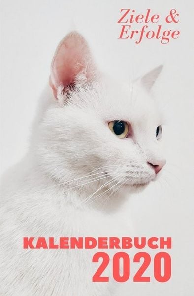 Taschenkalender 2020 / Kalenderbuch 2020 - Katze