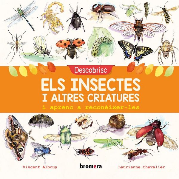 Produktbild: Descobrisc els insectes i altres criatures i aprenc a recon&eacute;ixer-les