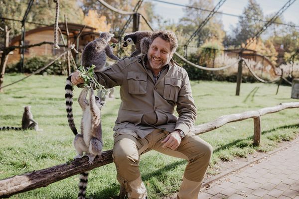 Produktbild: Die Safari meines Lebens