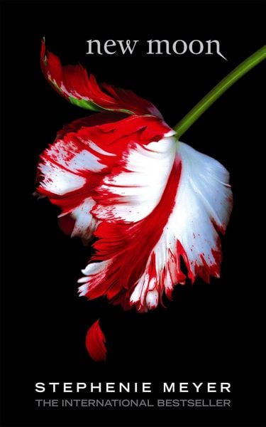 Produktbild: New Moon