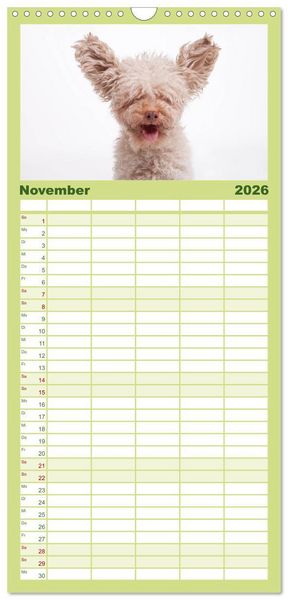 Produktbild: Familienplaner 2026 - SCHLAPPOHREN mit 5 Spalten (Wandkalender, 21 x 45 cm) CALVENDO