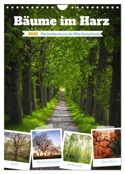 Produktbild: B&auml;ume im Harz (Wandkalender 2026 DIN A4 hoch), CALVENDO Monatskalender