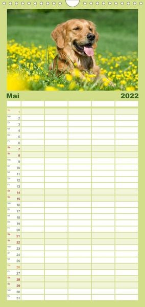 Produktbild: Familienplaner Golden Retriever (Wandkalender 2022 , 21 cm x 45 cm, hoch)