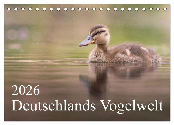 Deutschlands Vogelwelt (Tischkalender 2026 DIN A5 quer), CALVENDO Monatskalender