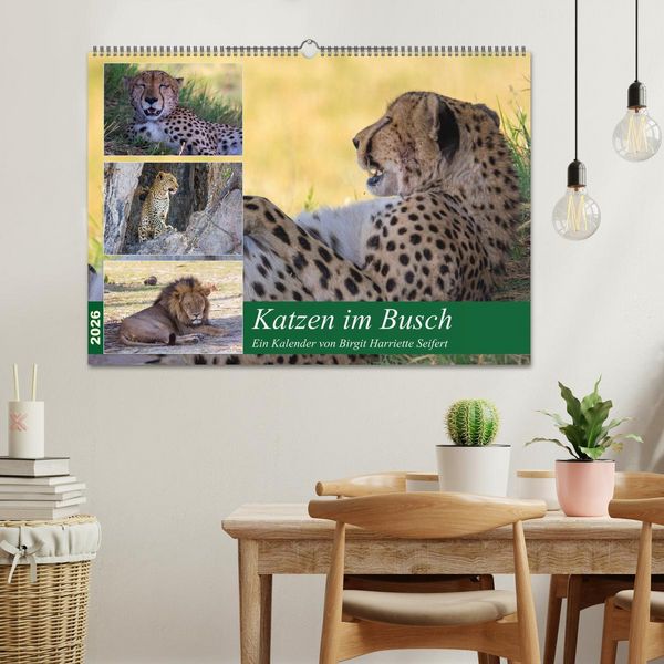 Produktbild: Katzen im Busch (Wandkalender 2026 DIN A2 quer), CALVENDO Monatskalender