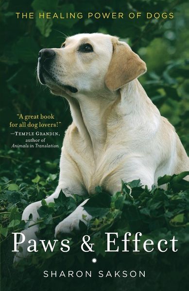 Produktbild: Paws & Effect