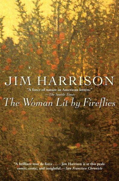 Produktbild: The Woman Lit by Fireflies