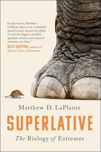 Produktbild: Superlative