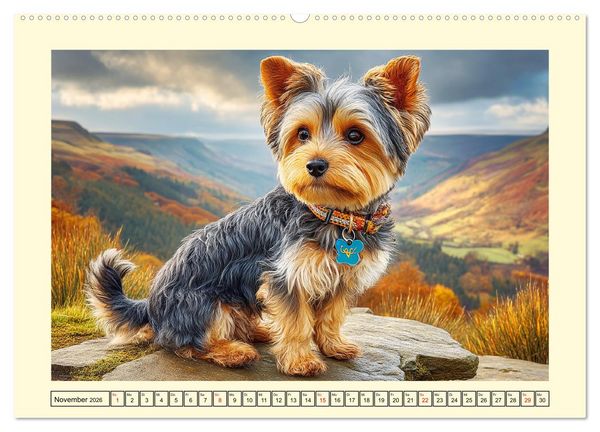 Produktbild: Yorkshire Terrier. Entz&uuml;ckende Minis mit Charme und Witz (hochwertiger Premium Wandkalender 2026 DIN A2 quer), Kunstdruck in Hochglanz