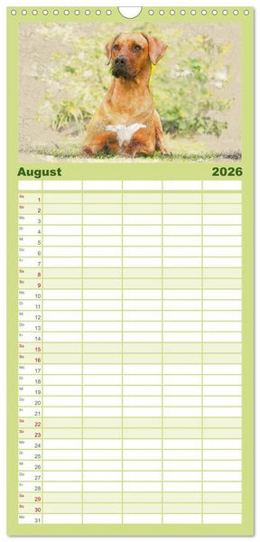 Produktbild: Familienplaner 2026 - Rhodesian Ridgeback 2026 mit 5 Spalten (Wandkalender, 21 x 45 cm) CALVENDO