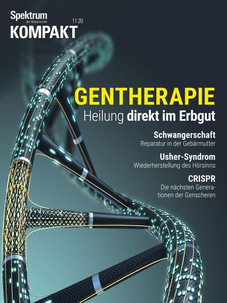 Produktbild: Spektrum Kompakt - Gentherapie