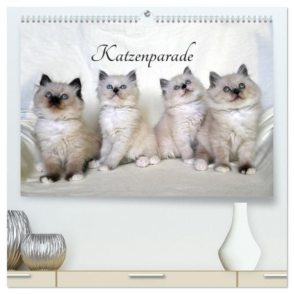 Katzenparade (hochwertiger Premium Wandkalender 2026 DIN A2 quer), Kunstdruck in Hochglanz