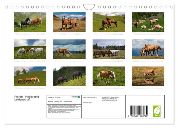 Produktbild: Pferde - Hobby und Leidenschaft (Wandkalender 2026 DIN A4 quer), CALVENDO Monatskalender