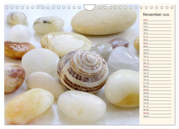 Produktbild: Shells, Stones and Sand (Wall Calendar 2026 DIN A4 landscape), CALVENDO 12 Month Wall Calendar