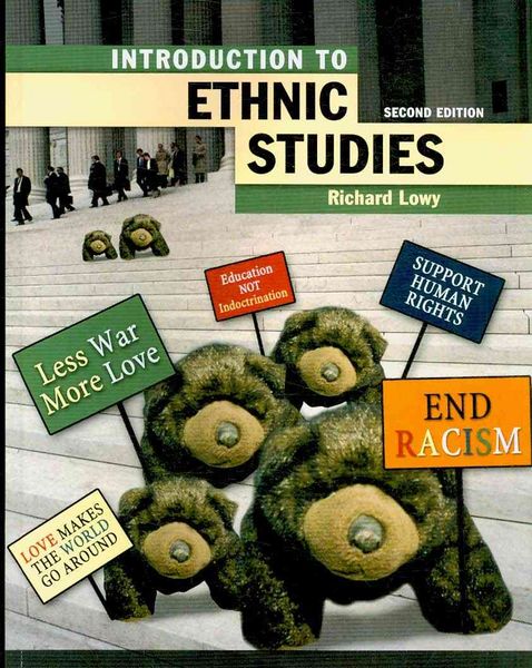 Produktbild: Introduction to Ethnic Studies