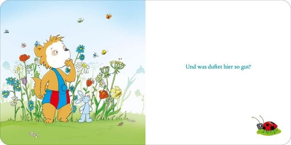 Produktbild: Bobo & Hasi suchen den Fr&uuml;hling