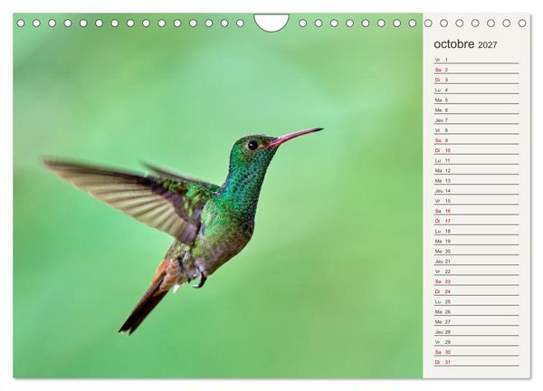 Produktbild: Colibris &ndash; &eacute;clats de nature (Calendrier mural 2027 DIN A4 vertical), CALVENDO calendrier mensuel