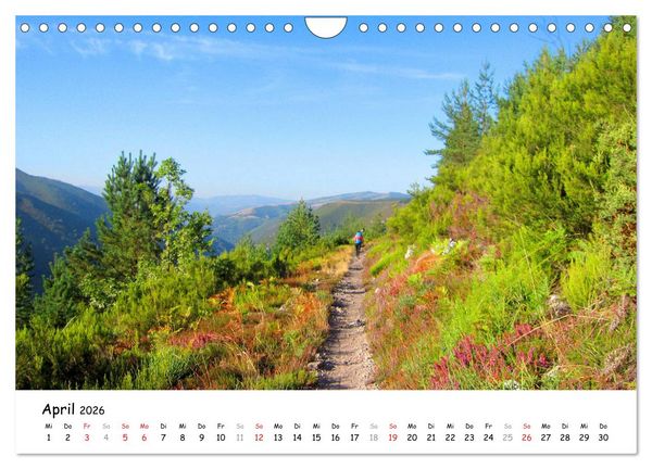 Produktbild: Jakobsweg - Camino Primitivo (Wandkalender 2026 DIN A4 quer), CALVENDO Monatskalender
