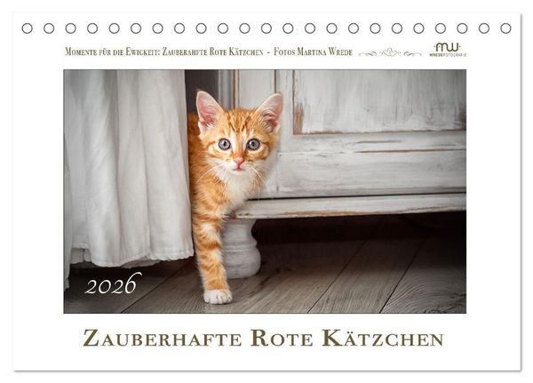 Zauberhafte rote Kätzchen (Tischkalender 2026 DIN A5 quer), CALVENDO Monatskalender
