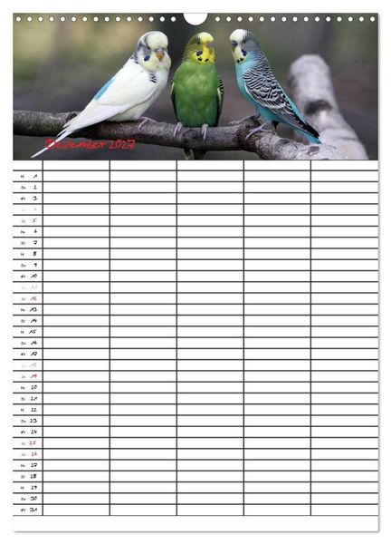 Produktbild: Wellensittiche (Wandkalender 2027 DIN A3 hoch), CALVENDO Monatskalender