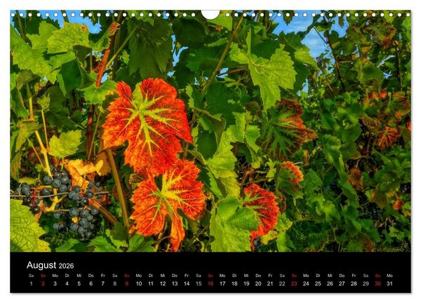 Produktbild: Sch&ouml;ne Mosel (Wandkalender 2026 DIN A3 quer), CALVENDO Monatskalender
