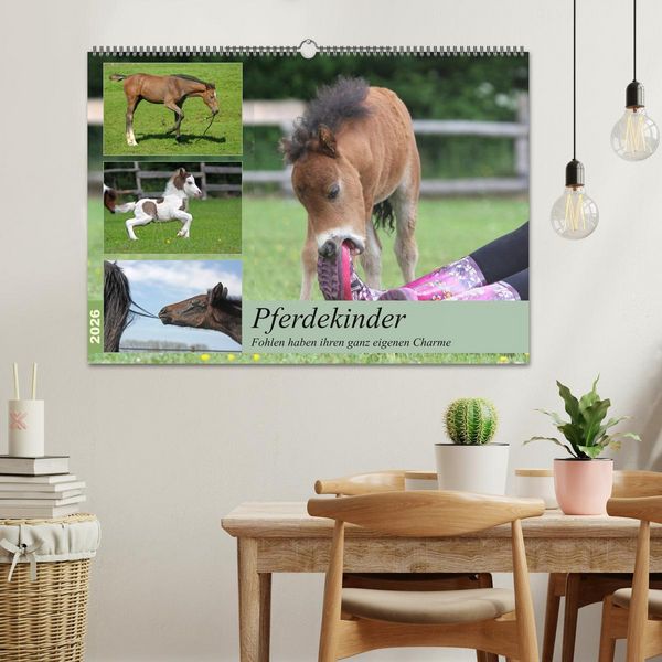 Produktbild: Pferdekinder - Fohlen haben ihren ganz eigenen Charme (Wandkalender 2026 DIN A2 quer), CALVENDO Monatskalender