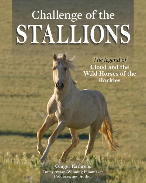 Produktbild: Challenge of the Stallions