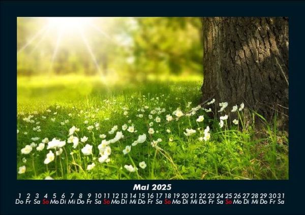 Produktbild: Blumenzauber 2025 Fotokalender DIN A5