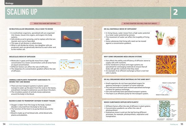 Produktbild: Collins GCSE Science - OCR Gateway GCSE (9-1) Biology for Combined Science