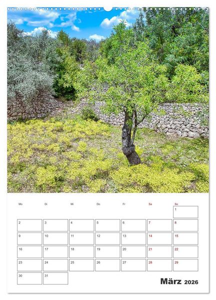 Produktbild: Mallorca - Traumhafte Insel auf der Sonnenseite (hochwertiger Premium Wandkalender 2026 DIN A2 hoch), Kunstdruck in Hochglanz