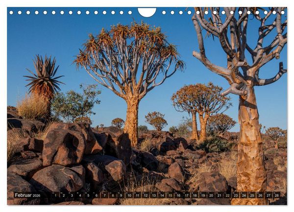 Produktbild: Zwischen Namib und Kalahari (Wandkalender 2026 DIN A4 quer), CALVENDO Monatskalender