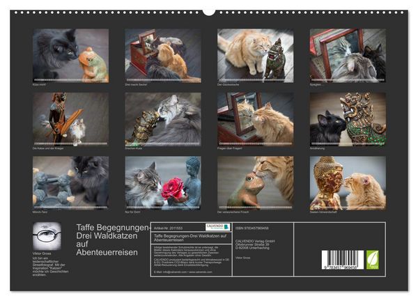Produktbild: Taffe Begegnungen-Drei Waldkatzen auf Abenteuerreisen (hochwertiger Premium Wandkalender 2026 DIN A2 quer), Kunstdruck in Hochglanz