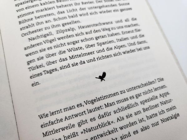 Produktbild: Wanderer zwischen den Welten