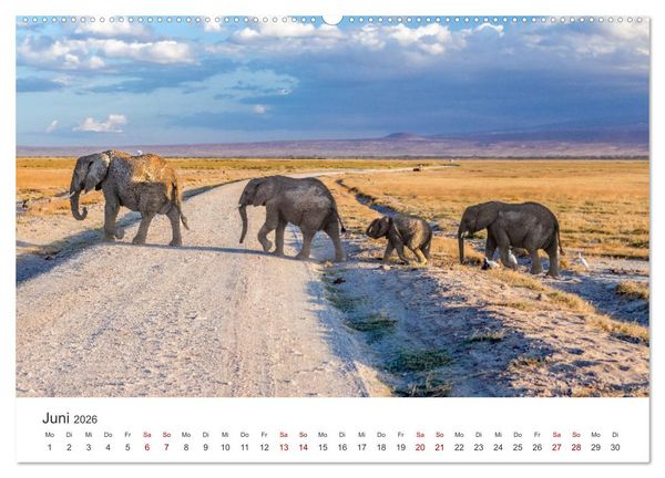 Produktbild: Kenia - Eine Safari durch unber&uuml;hrte Natur. (Wandkalender 2026 DIN A2 quer), CALVENDO Monatskalender