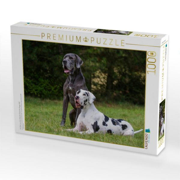 Produktbild: CALVENDO Puzzle Ein Motiv aus dem Kalender Deutsche Dogge 2017 | 1000 Teile Lege-Gr&ouml;&szlig;e 64x48cm Foto-Puzzle f&uuml;r gl&uuml;ckliche Stunden