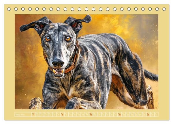 Produktbild: Windhunde. Seelenfl&uuml;sterer zwischen Anmut, Tempo und Stille (Tischkalender 2026 DIN A5 quer), CALVENDO Monatskalender