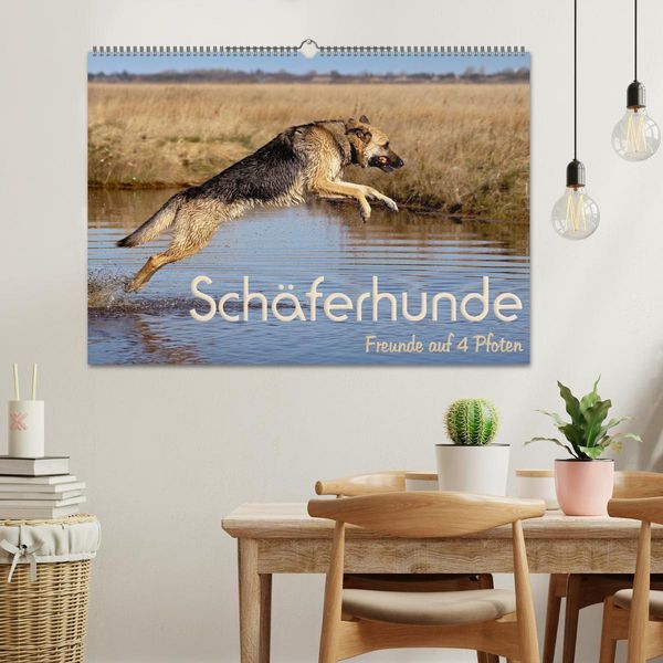 Produktbild: Sch&auml;ferhunde - Freunde auf 4 Pfoten (Wandkalender 2026 DIN A2 quer), CALVENDO Monatskalender