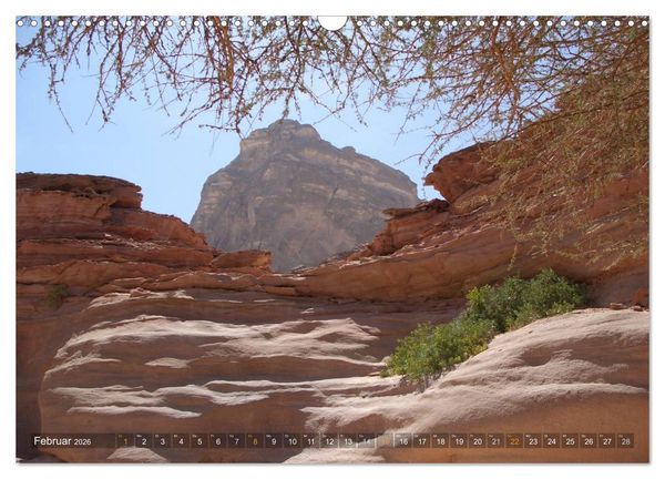 Produktbild: Impressionen Kameltrekking Sinai 2026 (Wandkalender 2026 DIN A3 quer), CALVENDO Monatskalender