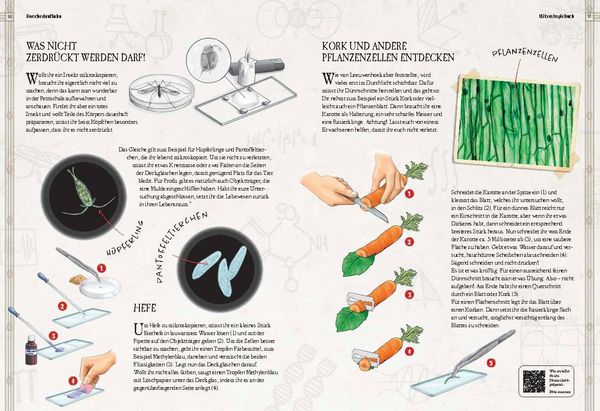Produktbild: Verborgene Welt des Mikrokosmos