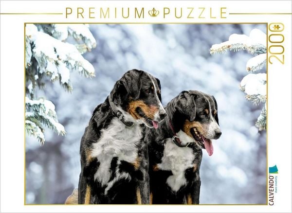 CALVENDO Puzzle Winterzeit | 2000 Teile Lege-Größe 90x67cm Foto-Puzzle für glückliche Stunden