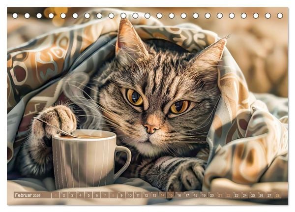 Produktbild: Katzen-Alltag - Ein witziges Jahr mit Kater Tommy (Tischkalender 2026 DIN A5 quer), CALVENDO Monatskalender