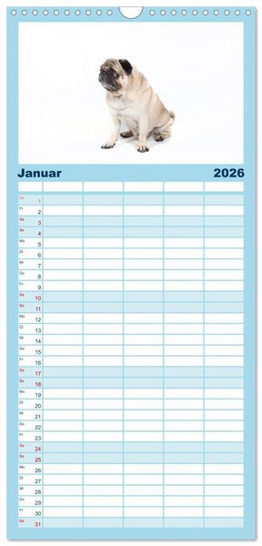 Produktbild: Familienplaner 2026 - Mops - unwiderstehlich und charmant mit 5 Spalten (Wandkalender, 21 x 45 cm) CALVENDO