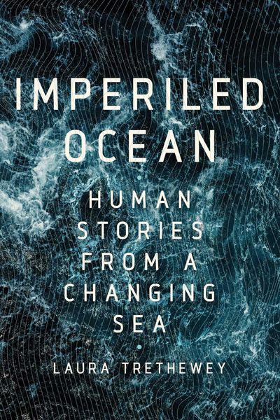 Produktbild: Imperiled Ocean