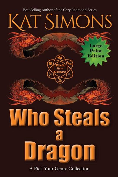 Produktbild: Who Steals a Dragon